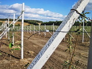 Продаем столбики из бетона для всех нужд